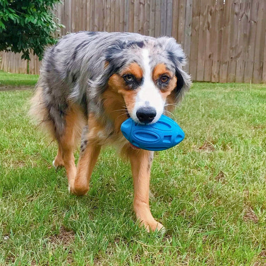 Durable Squeaky Rubber Balls for Chewers