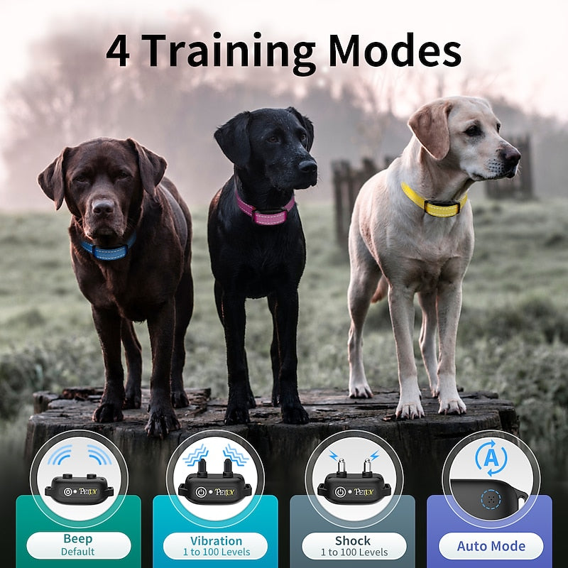 ShockMaster 3X - Advanced Dog Training Collar