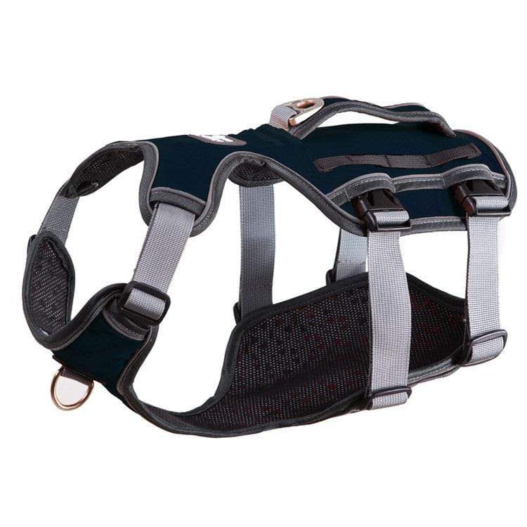 Canine Comfort Thoracolumbar Support Harness