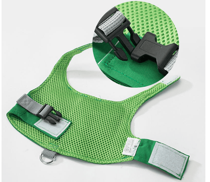 DinoLand Green Puppy Harness Set