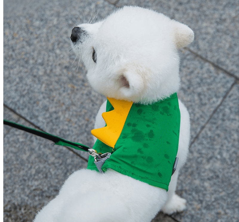 DinoLand Green Puppy Harness Set