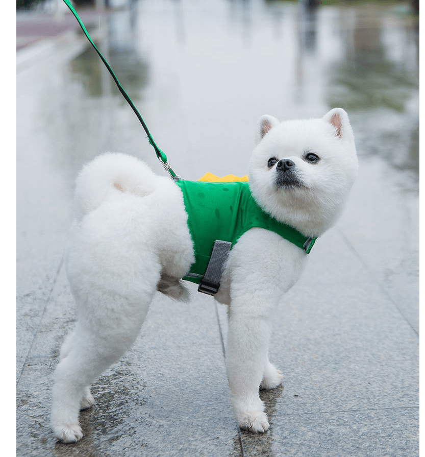 DinoLand Green Puppy Harness Set