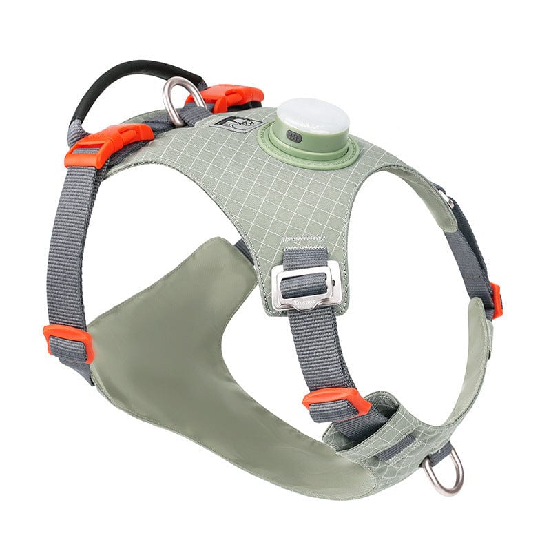 NightBright Illuminated Dog Harness