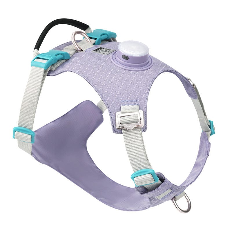 NightBright Illuminated Dog Harness