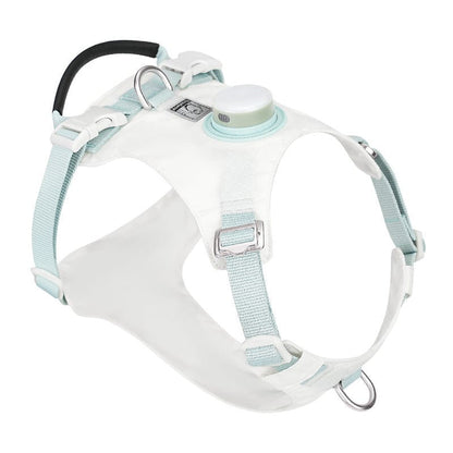 NightBright Illuminated Dog Harness