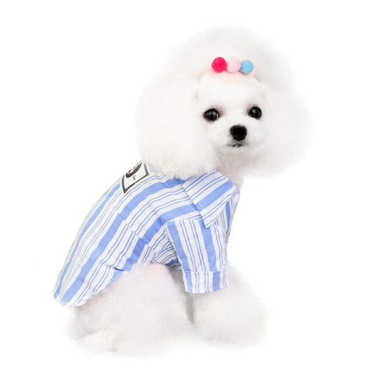 Pawsitively Striped Dog Shirt