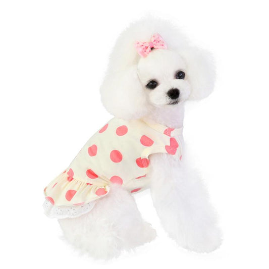 Polka Paws Lace Pet Dress