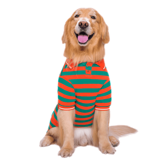 PawStripe Polo Shirt