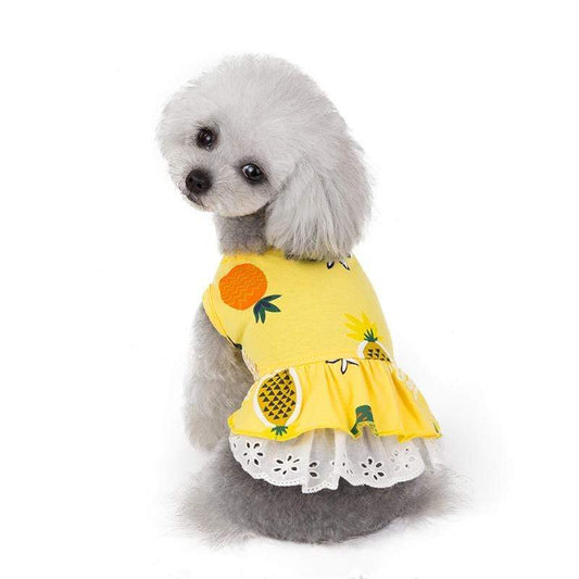 Pineapple Paradise Pet Dress