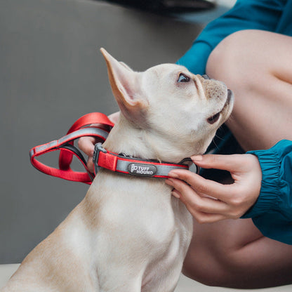 GlowTrack Reflective Dog Collar & Leash Set