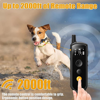 AquaCommand Rechargeable Waterproof Dog Training Collar with Remote Control