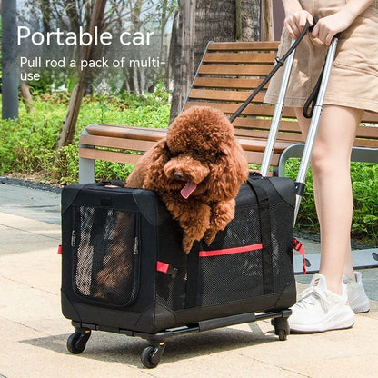 PawPal Rover - Pet Trolley Bag with Car Mount