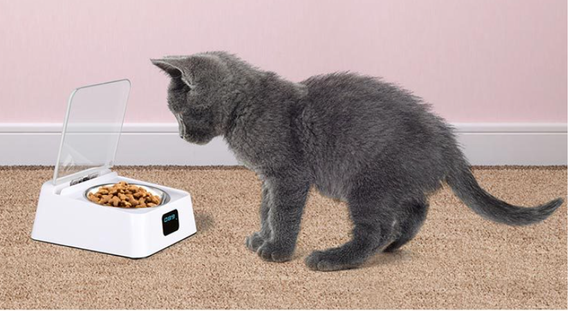 SmartServe Automatic Pet Feeder with Scheduling