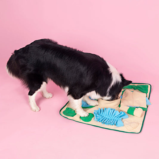 SniffQuest Adventure Snuffle Mat for Dogs