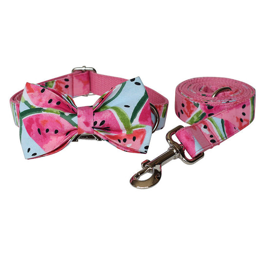 Watermelon Fresh Dog Collar & Tow Rope